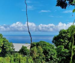 Terrains à bâtir  Bois de Nèfles St Paul