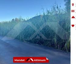 Terrain  3.980 m2