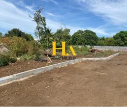 Terrain  242 m2