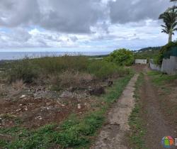 Terrain 