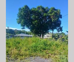 Terrain  327 m2