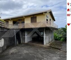 Maison / Villa 5 pièce(s)  181 m2