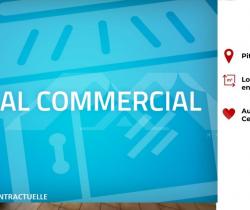 Local commercial studio Piton Saint Leu