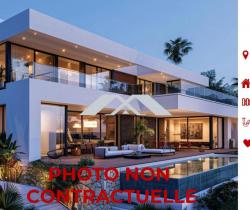 Maison / Villa 5 pièce(s)  450 m2