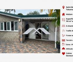 Maison / Villa 4 pièce(s)  110 m2
