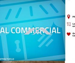 Local commercial  Piton Saint Leu