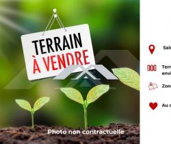Terrain agricole  Sainte Anne