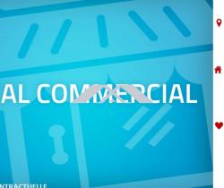 Local commercial  Saint Pierre 