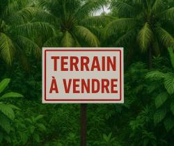 Terrains à bâtir  Le Tampon 