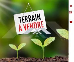 Terrain agricole  Saint Pierre 
