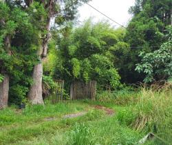 Terrain  La Plaine Des Palmistes 