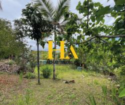 Terrains à bâtir Gol Les Hauts