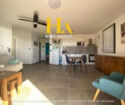 Appartement 2 pièce(s)  67 m2