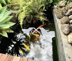 Maison / Villa 5 pièce(s)  Sainte Clotilde