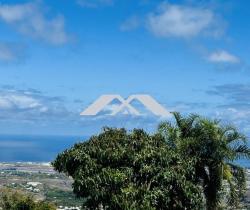 Terrains à bâtir  Bois de Nèfles St Paul