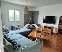 Maison / Villa Plus de 5 pièces  196 m ...