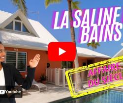 Maison / Villa 5 pièce(s)  Saint Gilles Les Bains