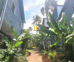 Appartement 2 pièce(s)  Piton Saint Leu