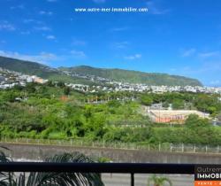 Appartement 2 pi&egrave;ce(s)  45 m2