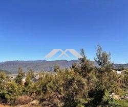 Terrain  La Plaine Des Cafres