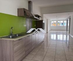 Appartement 5 pi&egrave;ce(s)  100 m2