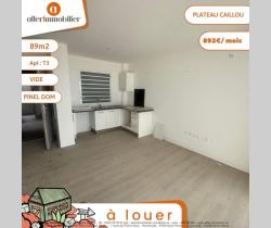 Appartement 3 pi&egrave;ce(s)  80 m2