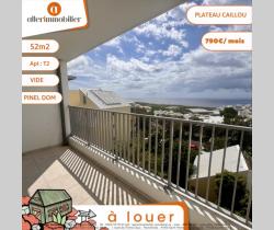 Appartement 2 pi&egrave;ce(s)  43 m2