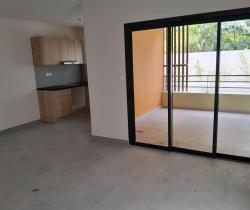 Appartement 2 pi&egrave;ce(s)  48 m2