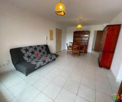 Appartement 3 pi&egrave;ce(s)  58 m2