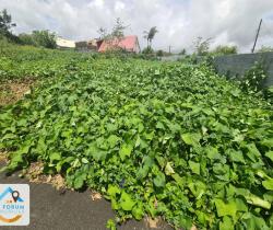 Terrains à bâtir  Le Tampon 