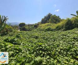 Terrains à bâtir  610 m2