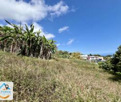 Terrain  Petite Île 