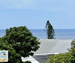 Appartement 3 pi&egrave;ce(s)  67 m2