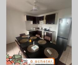 Appartement 3 pi&egrave;ce(s)  49 m2