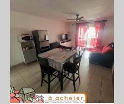 Appartement 2 pi&egrave;ce(s)  70 m2