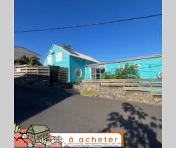 Maison / Villa 5 pi&egrave;ce(s)  163 m2