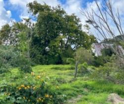 Terrains à bâtir  La Plaine Des Cafres