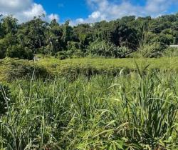 Terrain  Sainte Suzanne 