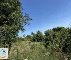 Terrain  Saint Pierre 