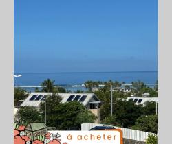 Appartement 3 pi&egrave;ce(s)  66 m2