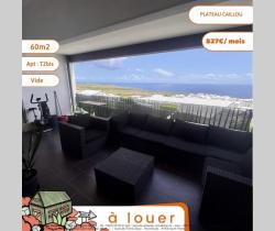 Appartement 2 pi&egrave;ce(s)  56 m2