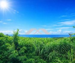 Terrain  Sainte Marie 