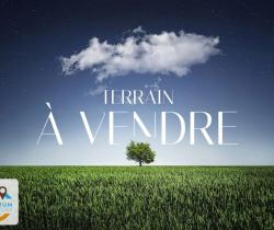 Terrain  440 m2