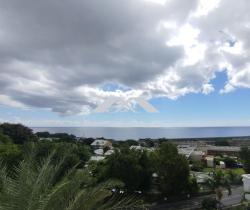 Appartement 2 pi&egrave;ce(s)  41 m2