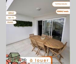 Appartement 3 pi&egrave;ce(s)  50 m2