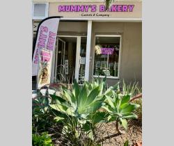 Local commercial  Saint Gilles Les Bains