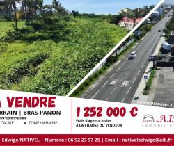 Terrain  Bras Panon 
