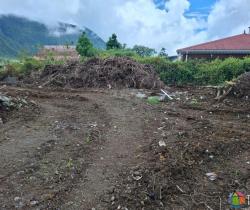Terrain 