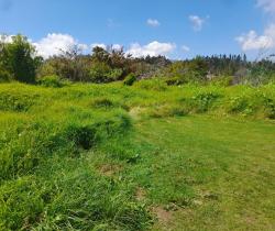 Terrains à bâtir  La Plaine Des Palmistes 