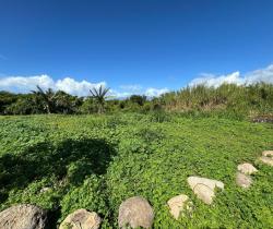 Terrain  450 m2